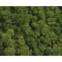 Διακοσμητικό Γρασίδι για συνθέσεις - Moss φυσικό green 250gr