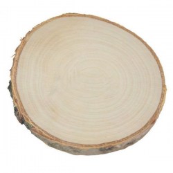 Κορμός δέντρου φέτα στρογγυλός περίπου 9-10 cm πάχος 9mm