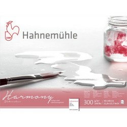 Μπλοκ Ακουαρέλας Hahnemuhle Harmony 12 φύλλων 30x40cm 300gr Cold Pressed