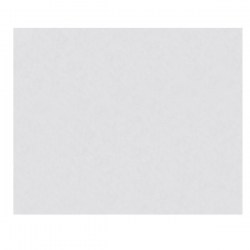 Ανάγλυφο Λευκό Χαρτόνι διαστάσεων 50x70 220 γραμμαρίων . Ιδανικό για ζωγραφική με κάρβουνο ή παστέλ.