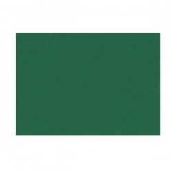 Ανάγλυφο χαρτόνι διαστάσεων 50x70 220 γραμμαρίων χρώματος Πράσινο Σκούρο. Ιδανικό για ζωγραφική με παστέλ ή κάρβουνο.
