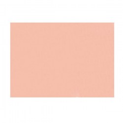 Ανάγλυφο χαρτόνι διαστάσεως 50x70 220 γραμμαρίων χρώματος Ρόζ Σολομού.  Ιδανικό για ζωγραφική με παστέλ ή κάρβουνο.