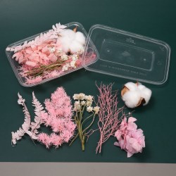 Αποξηραμένα λουλούδια για Ρητίνη Ροζ και λευκά