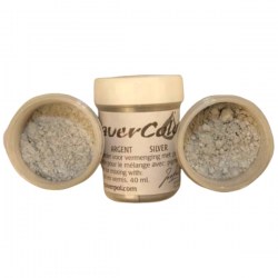 Pavercolor Silver 40ml