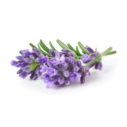 Άρωμα Lavender 50ml