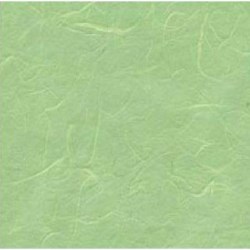 n-a-papel-arroz-liso-50x70-verde-menta-61-7531685806140